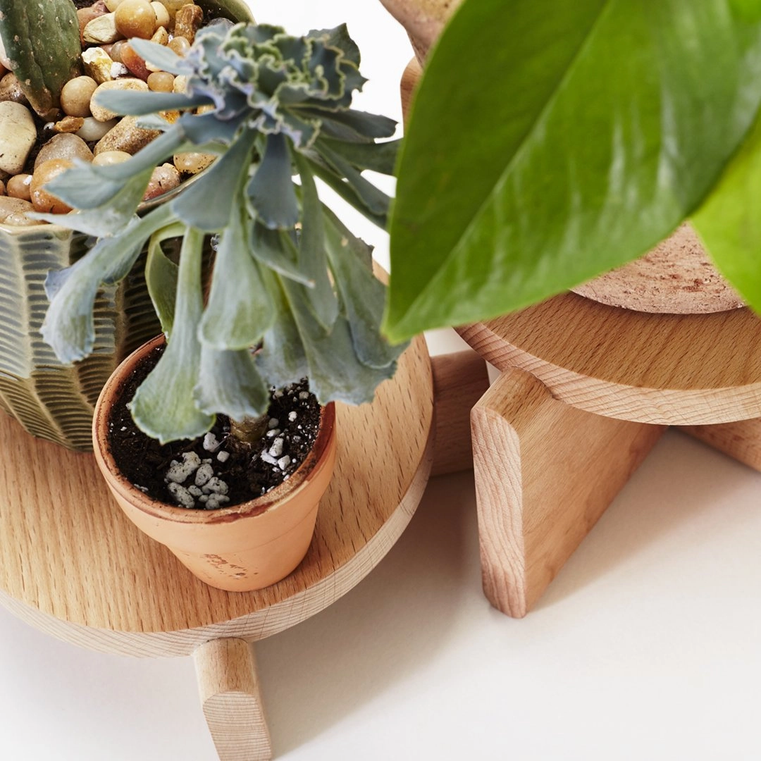Plant Pedestals