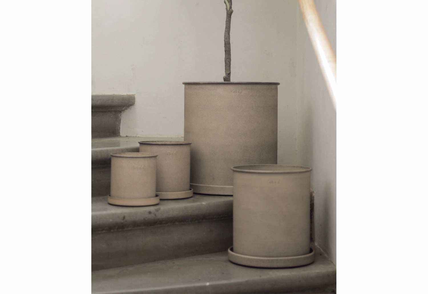 Plant Pot with Tray