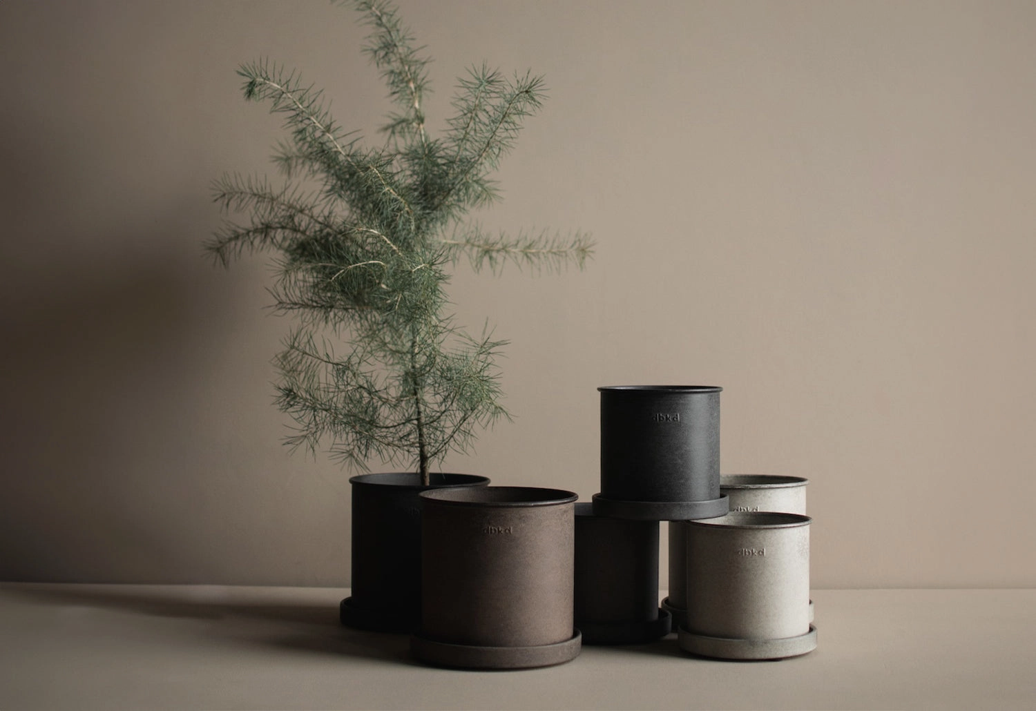 Plant Pot with Tray