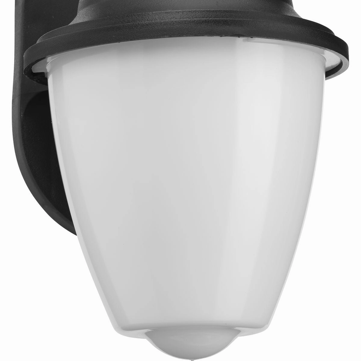 Polycarbonate Outdoor One Light Wall Lantern Black