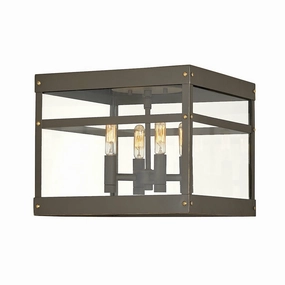 Porter Outdoor Ceiling LightWeatherproof outdoor lighting