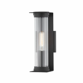 Presley 1-Light Small Outdoor Wall LightWeatherproof outdoor lighting