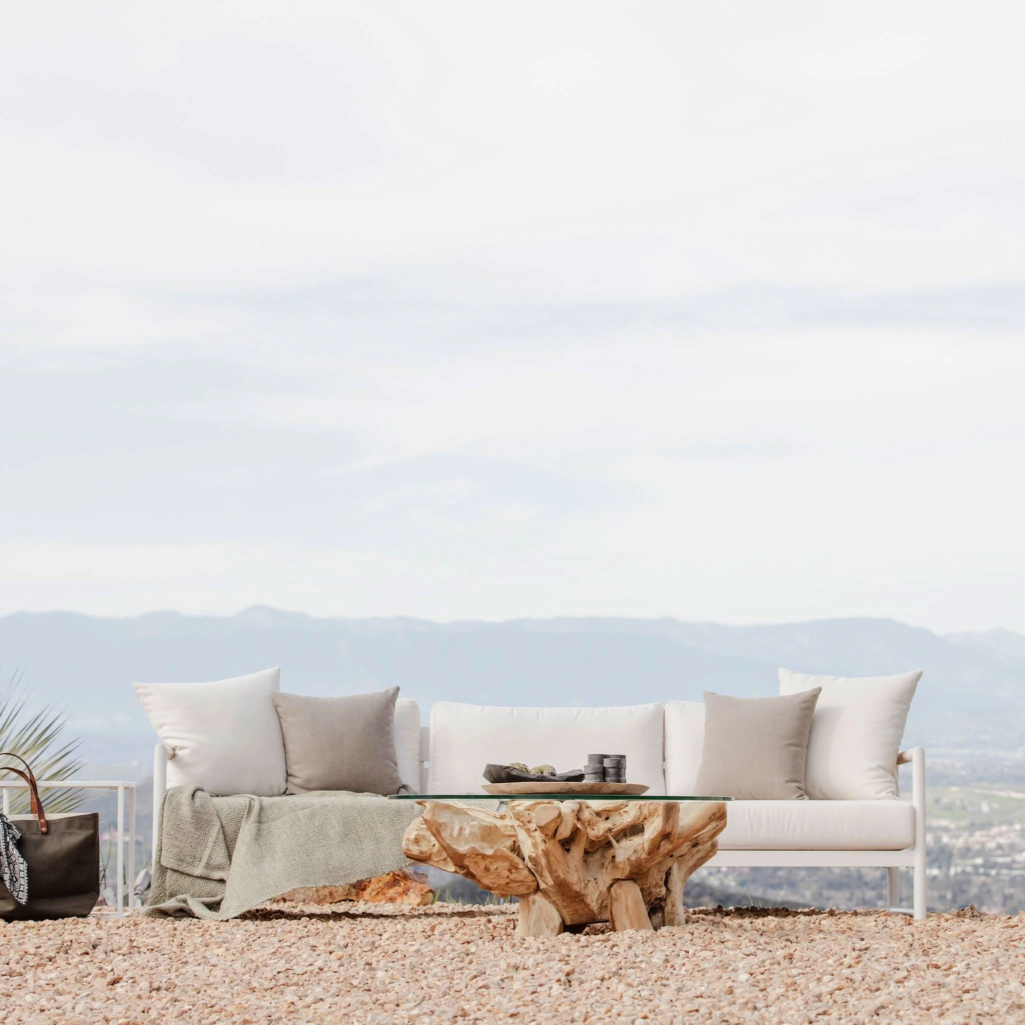 Pure Root Coffee Table 800