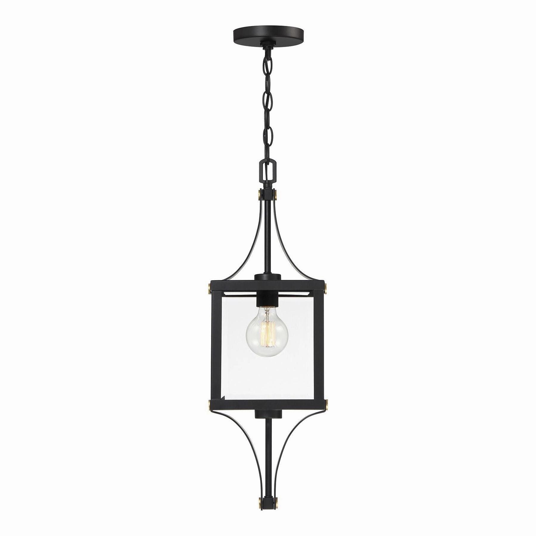 Raeburn 1-Light Outdoor Hanging LanternWeatherproof outdoor lighting