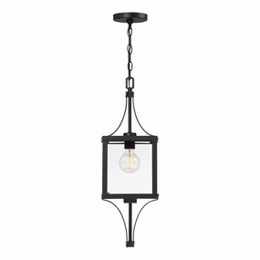 Raeburn 1-Light Outdoor Hanging LanternWeatherproof outdoor lighting