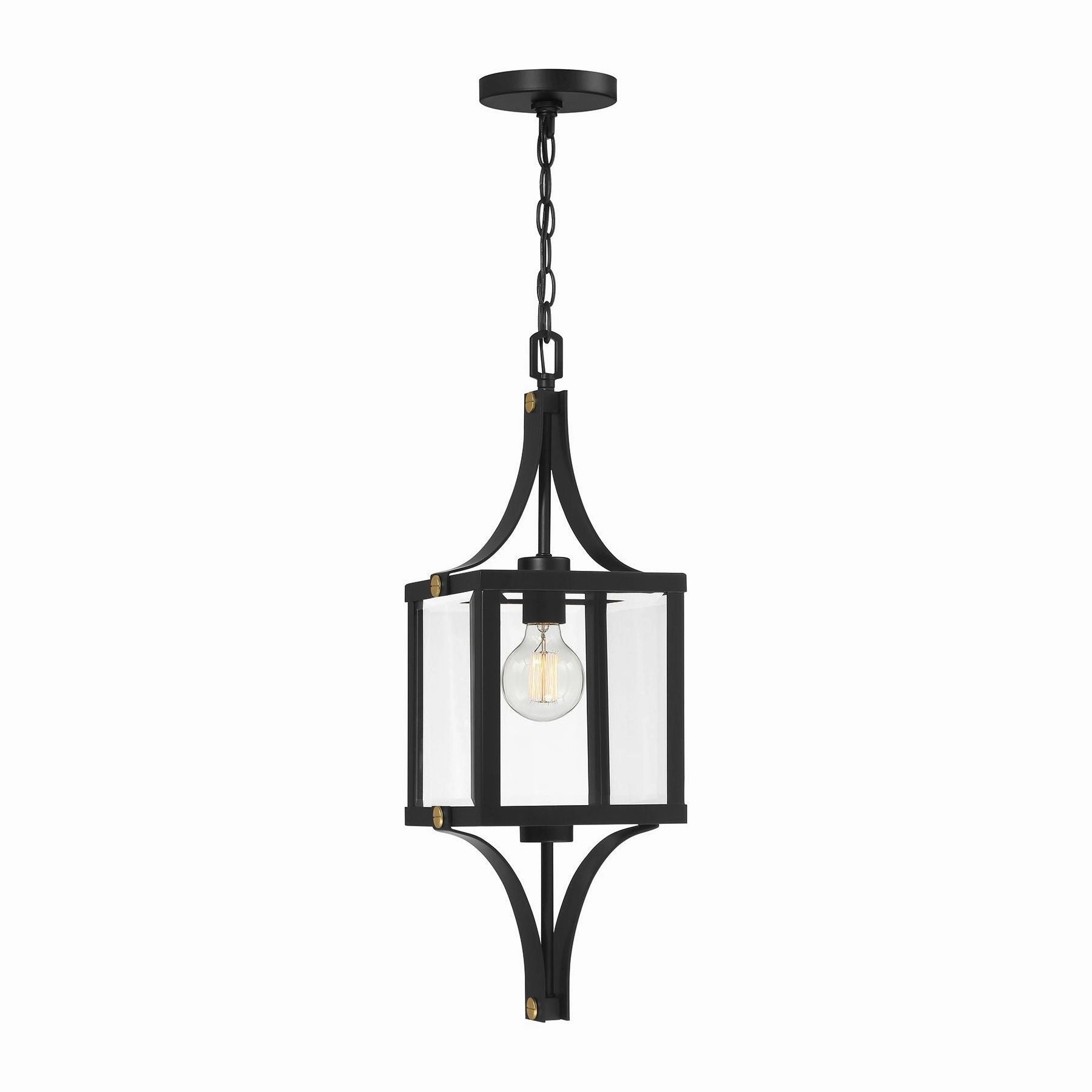 Raeburn 1-Light Outdoor Hanging Lantern
