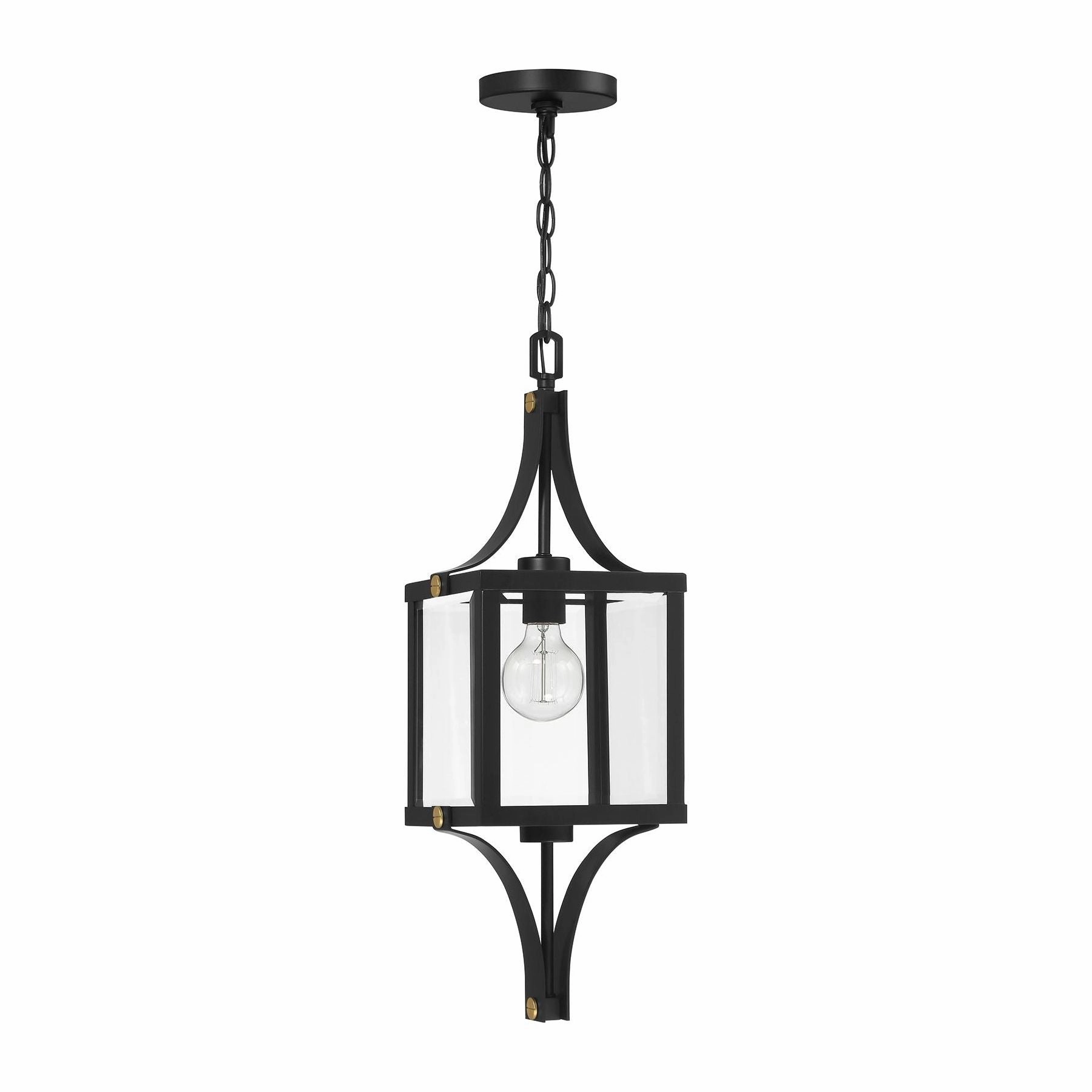 Raeburn 1-Light Outdoor Hanging Lantern