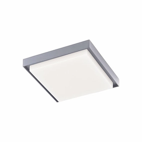 Ridge Outdoor Ceiling LightWeatherproof outdoor lighting