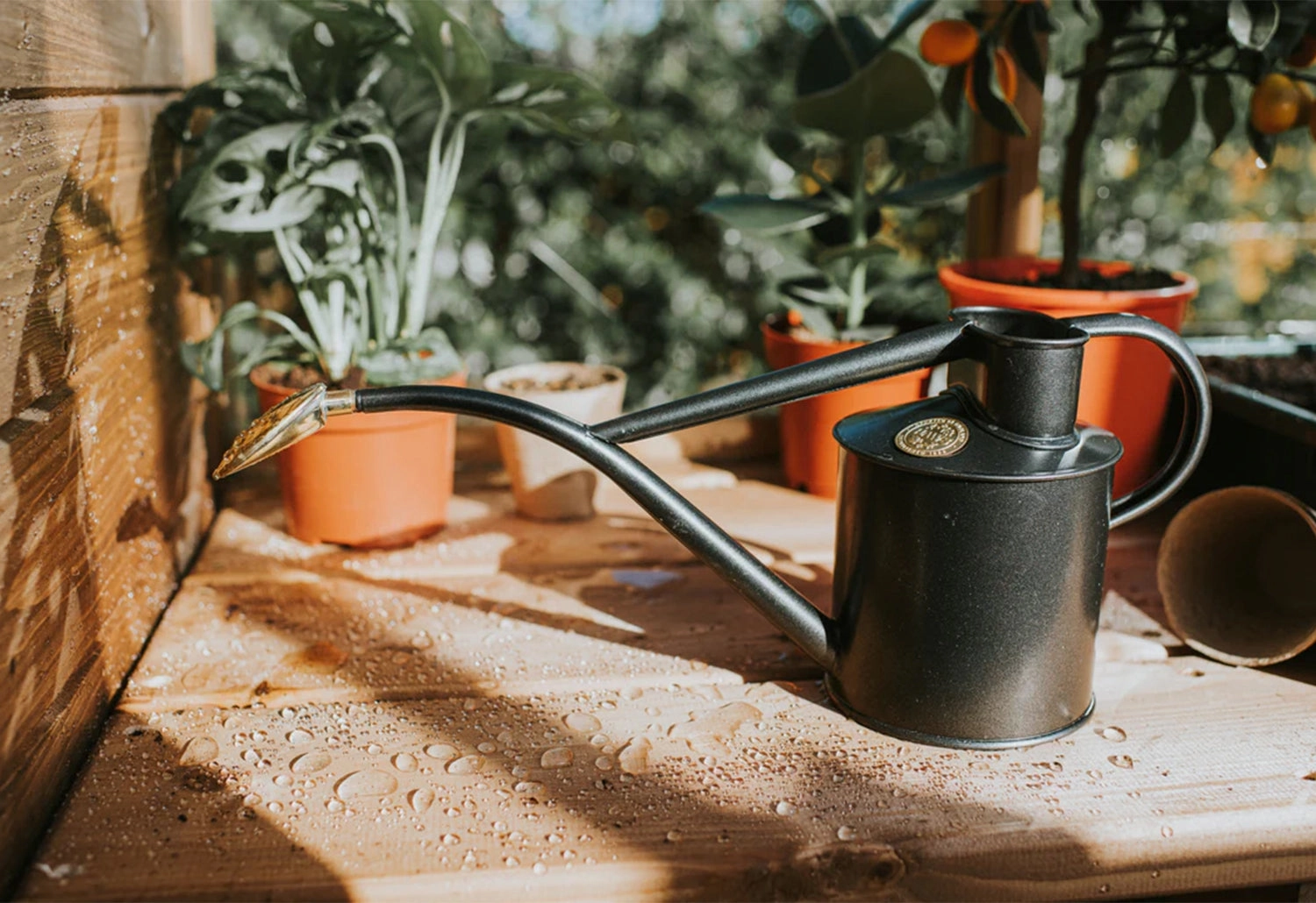 Rowley Ripple Steel Watering Can