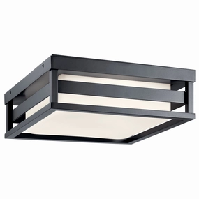 Ryler Outdoor Ceiling LightWeatherproof outdoor lighting