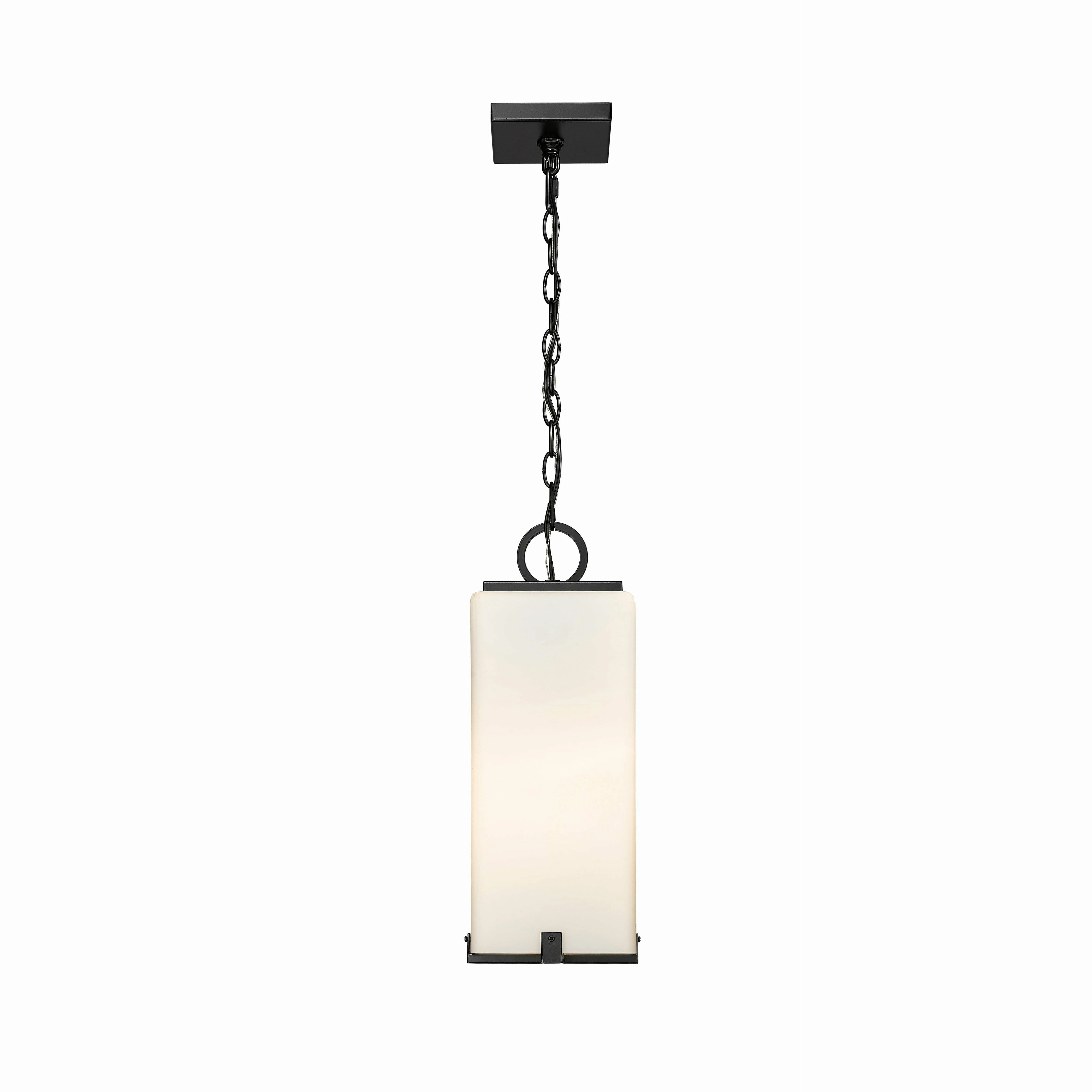 Sana 1-Light Outdoor Pendant