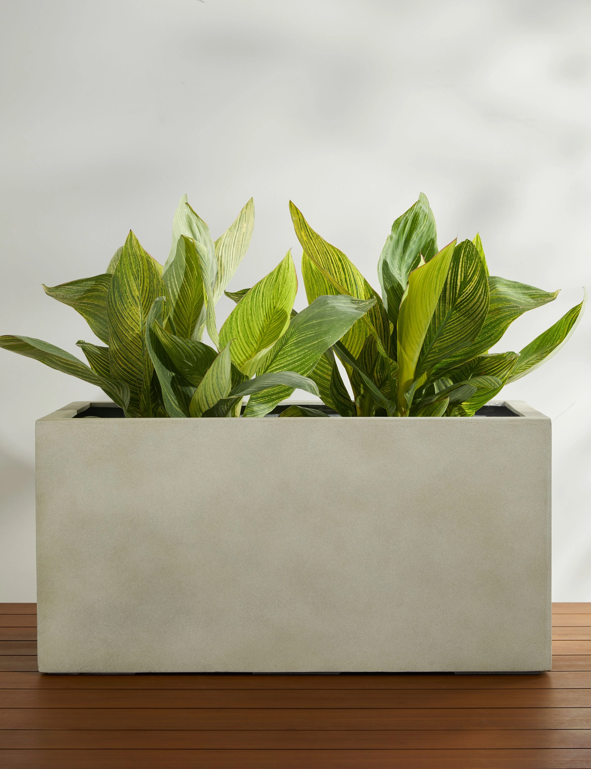 Sandal Planter by Campania International mini herb garden planters for kitchen