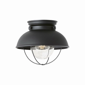 Sebring 1-Light Outdoor Ceiling Light (with Bulb)Weatherproof outdoor lighting