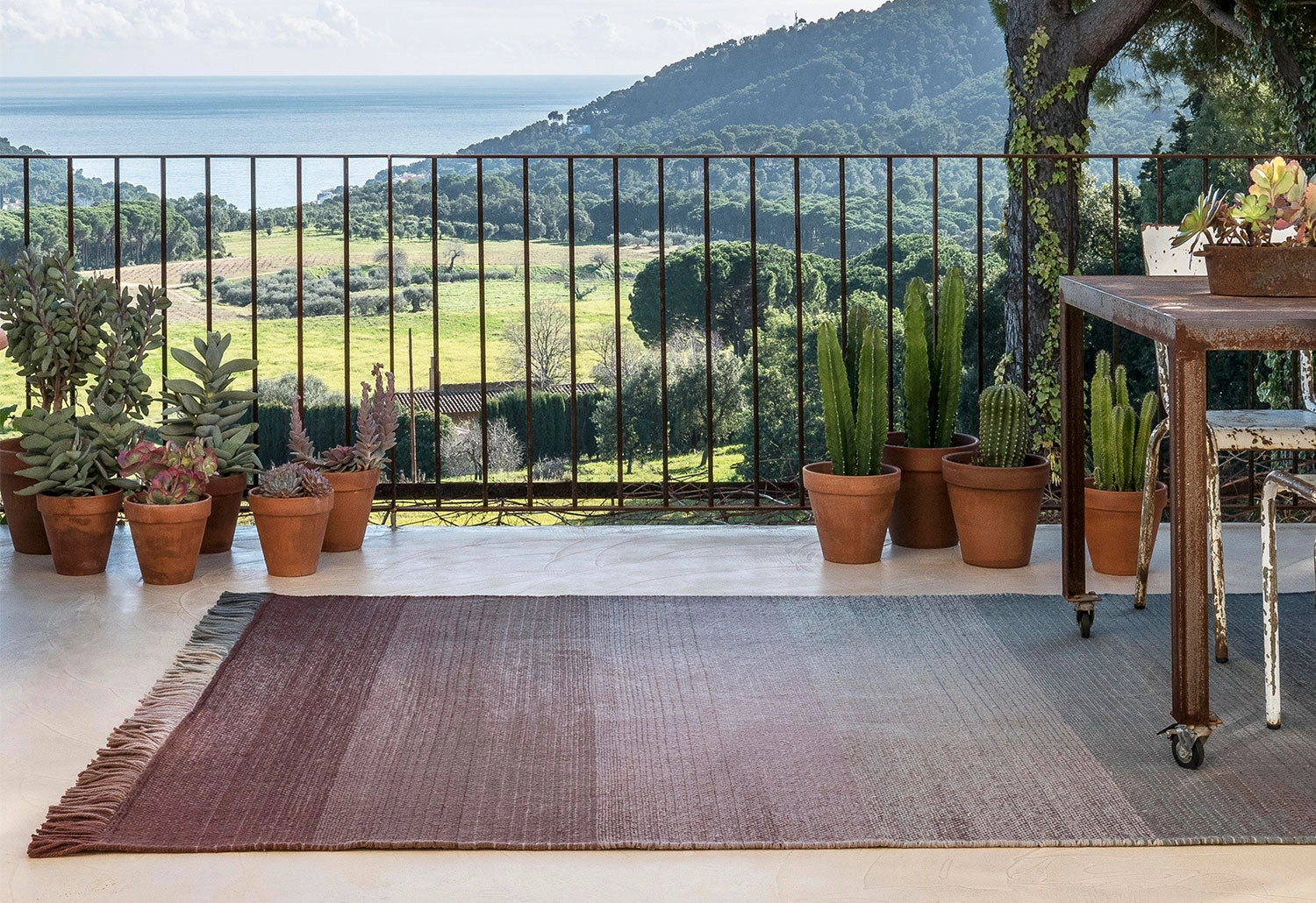 Shade Outdoor Rug