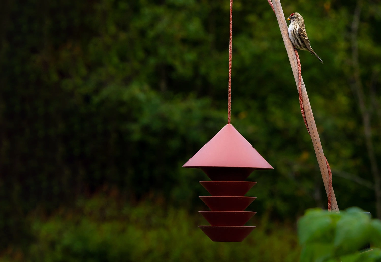 Silo Bird Feeder