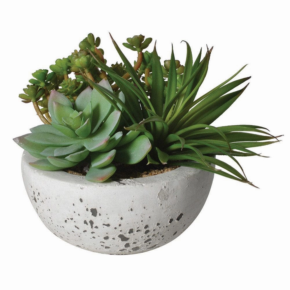 Succulent Arrangement - In Grey Cement Bowloutdoor garden decorative ornaments