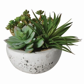 Succulent Arrangement - In Grey Cement Bowloutdoor garden decorative ornaments