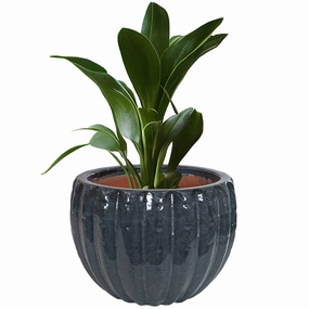 Sunnydaze 10" Ceramic Planter Set of 2 - Black Mist Fluted Finish decorative outdoor planter box designs