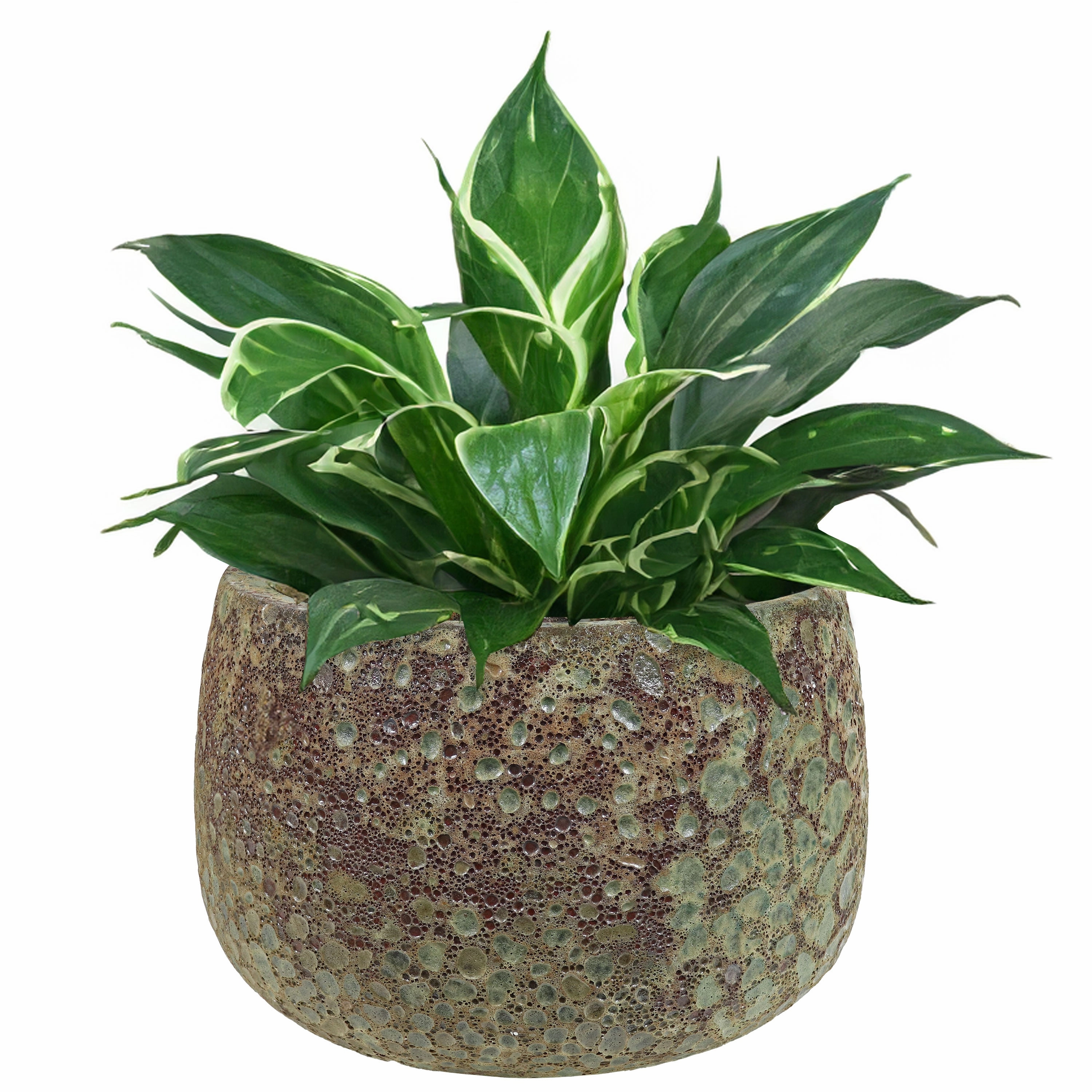 Sunnydaze 14" Ceramic Plant Pot - Green Distressed Lava Finish decorative outdoor planter box designs