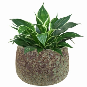 Sunnydaze 14" Ceramic Plant Pot - Green Distressed Lava Finish decorative outdoor planter box designs