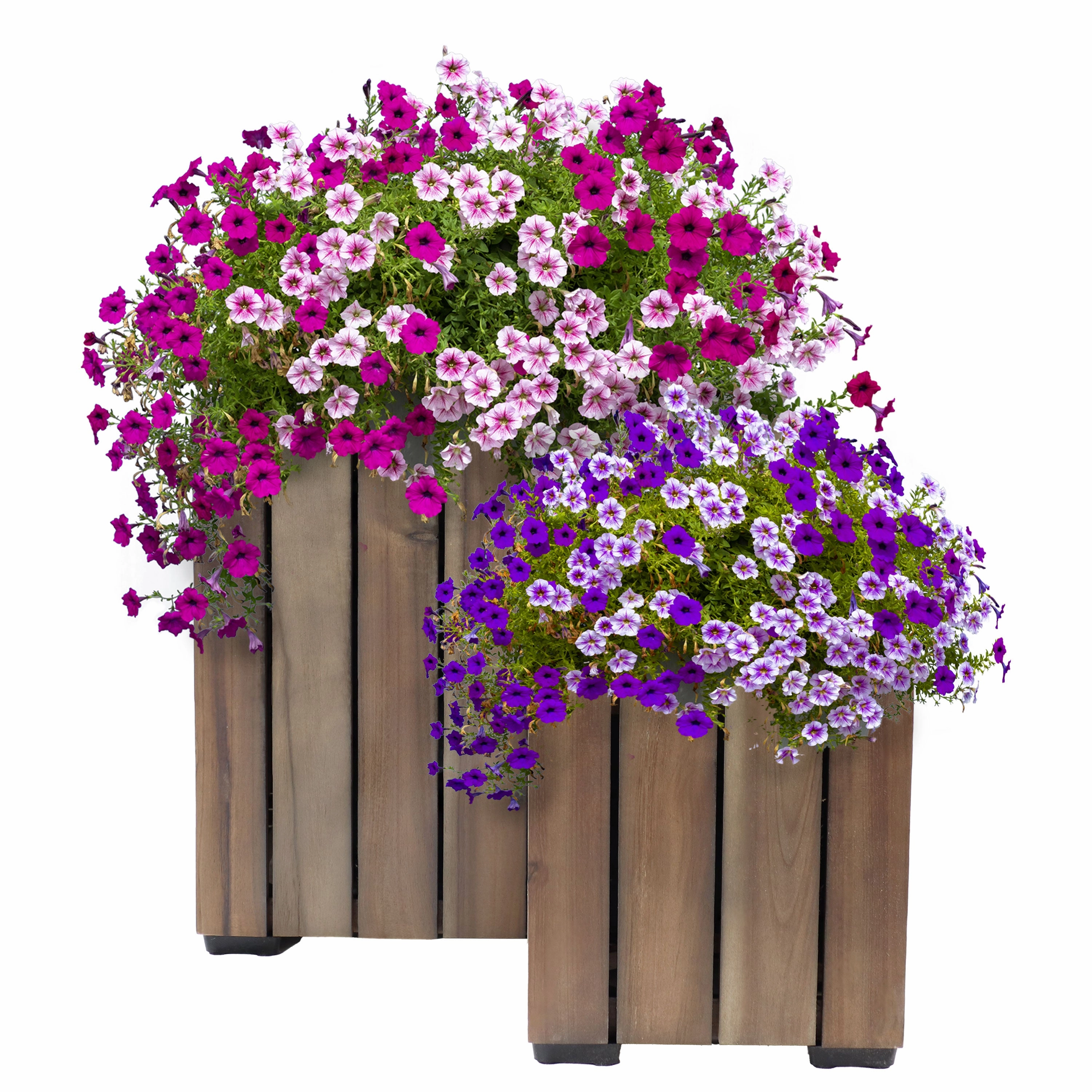 Sunnydaze 2-Piece Wooden Planter Boxes with Vertical Planks decorative outdoor planter box designs