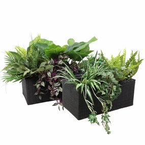 Sunnydaze 2-Section Polyrattan Rectangle Indoor Planters - Set of 2 decorative outdoor planter box designs