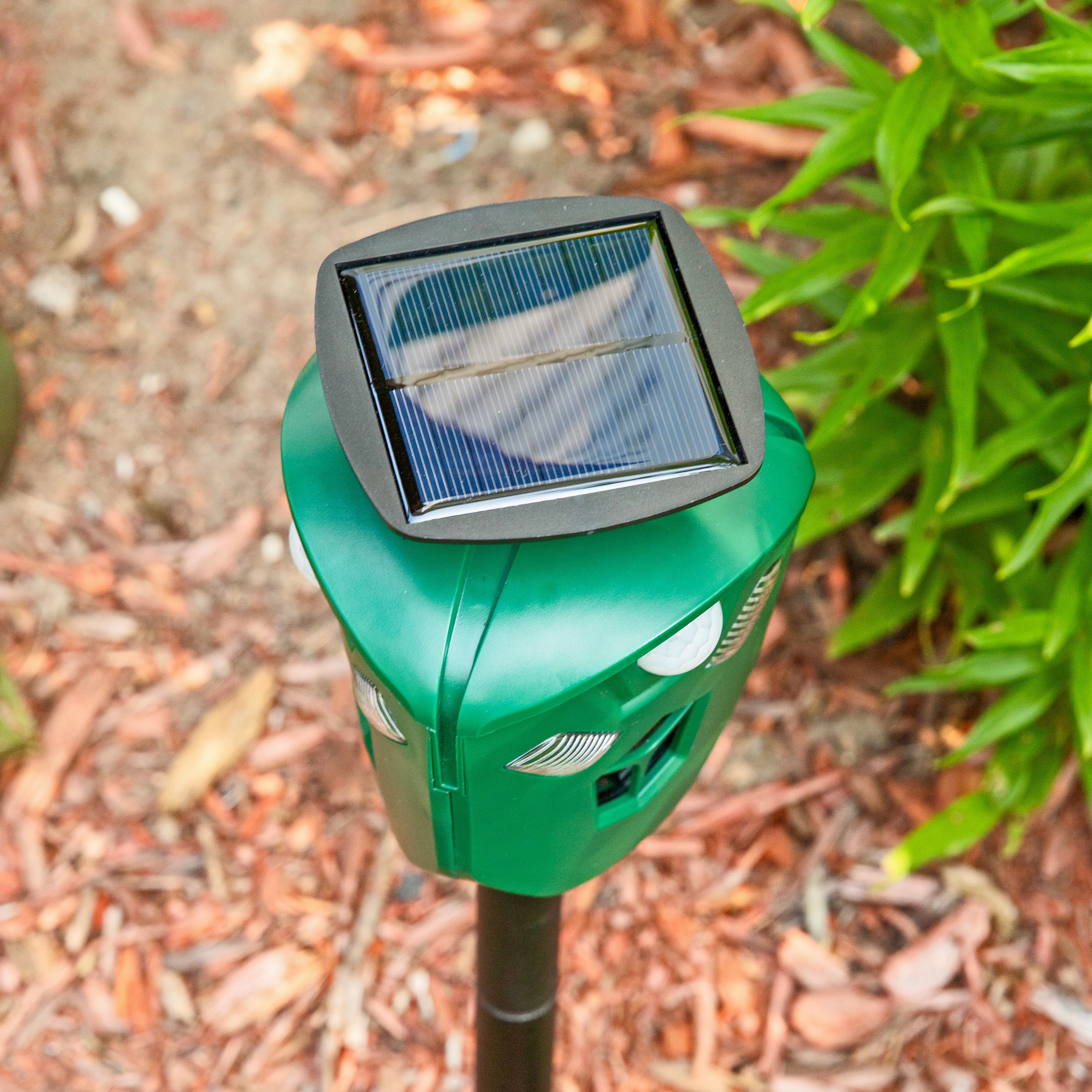 Sunnydaze 360 Solar-Powered Animal Repellent