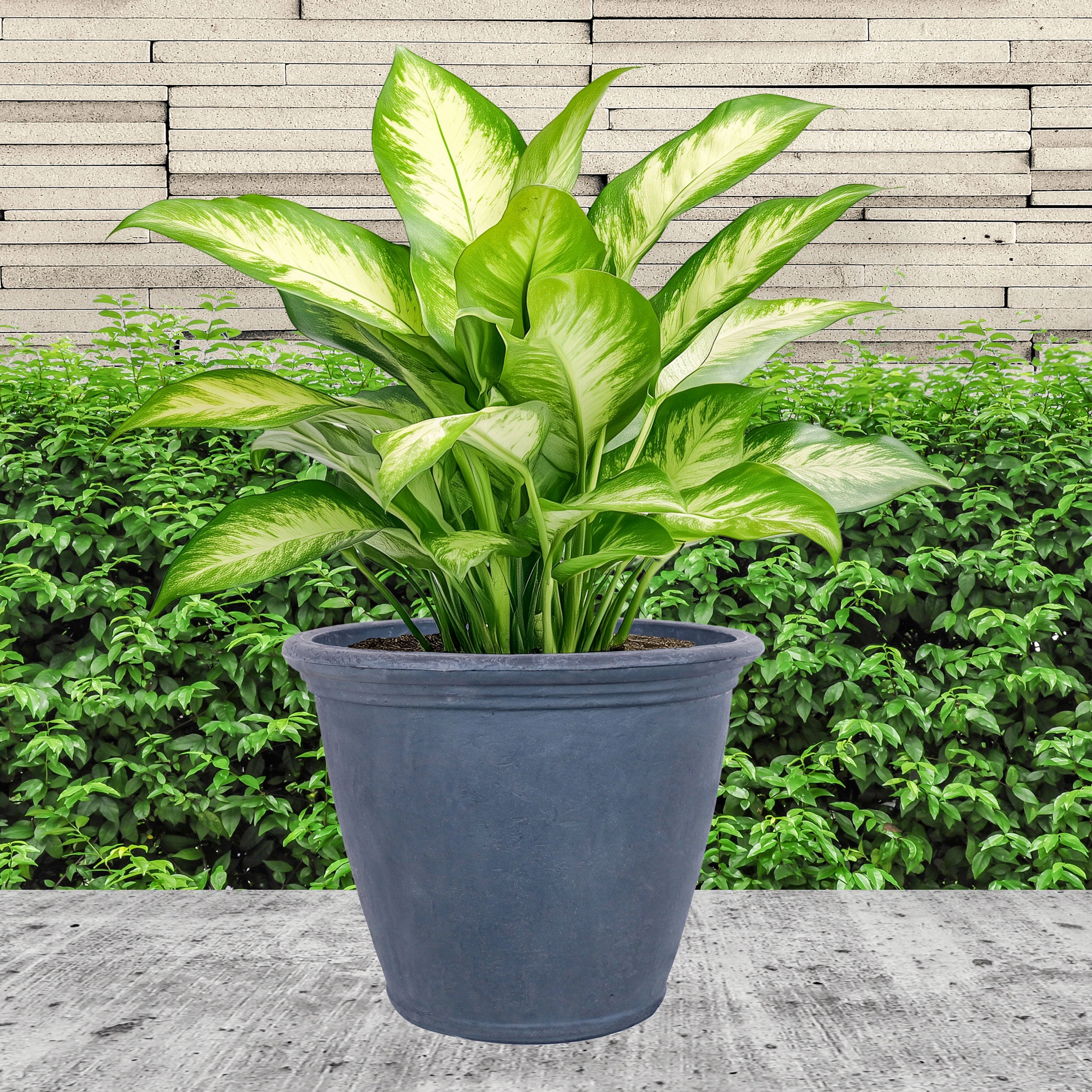 Sunnydaze Anjelica Polyresin Outdoor Flowerpot Planter