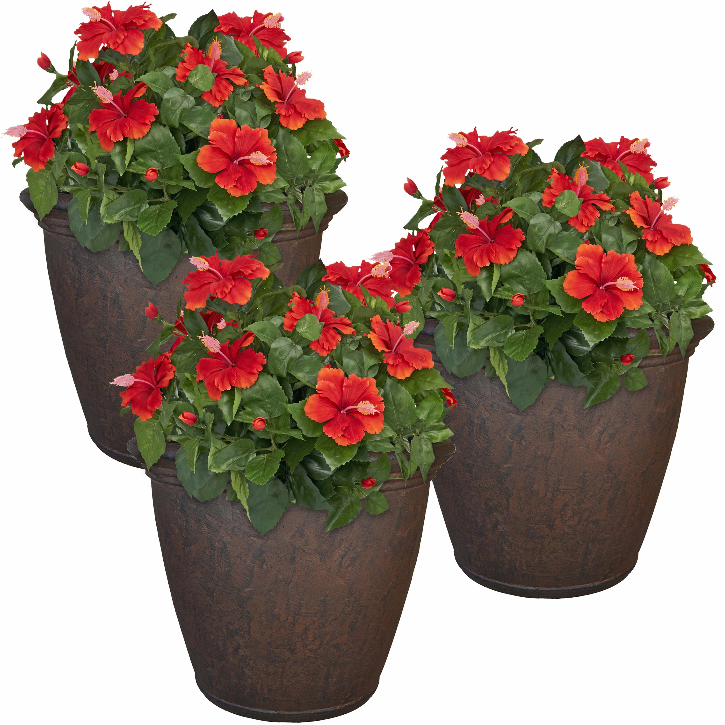 Sunnydaze Anjelica Polyresin Outdoor Flowerpot Planter