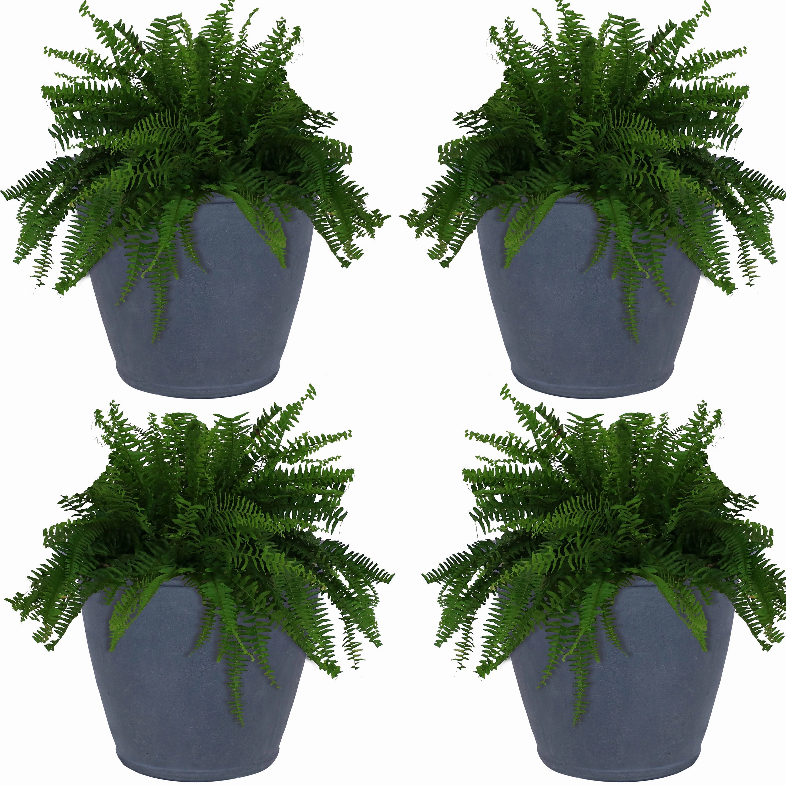 Sunnydaze Anjelica Polyresin Outdoor Flowerpot Planter