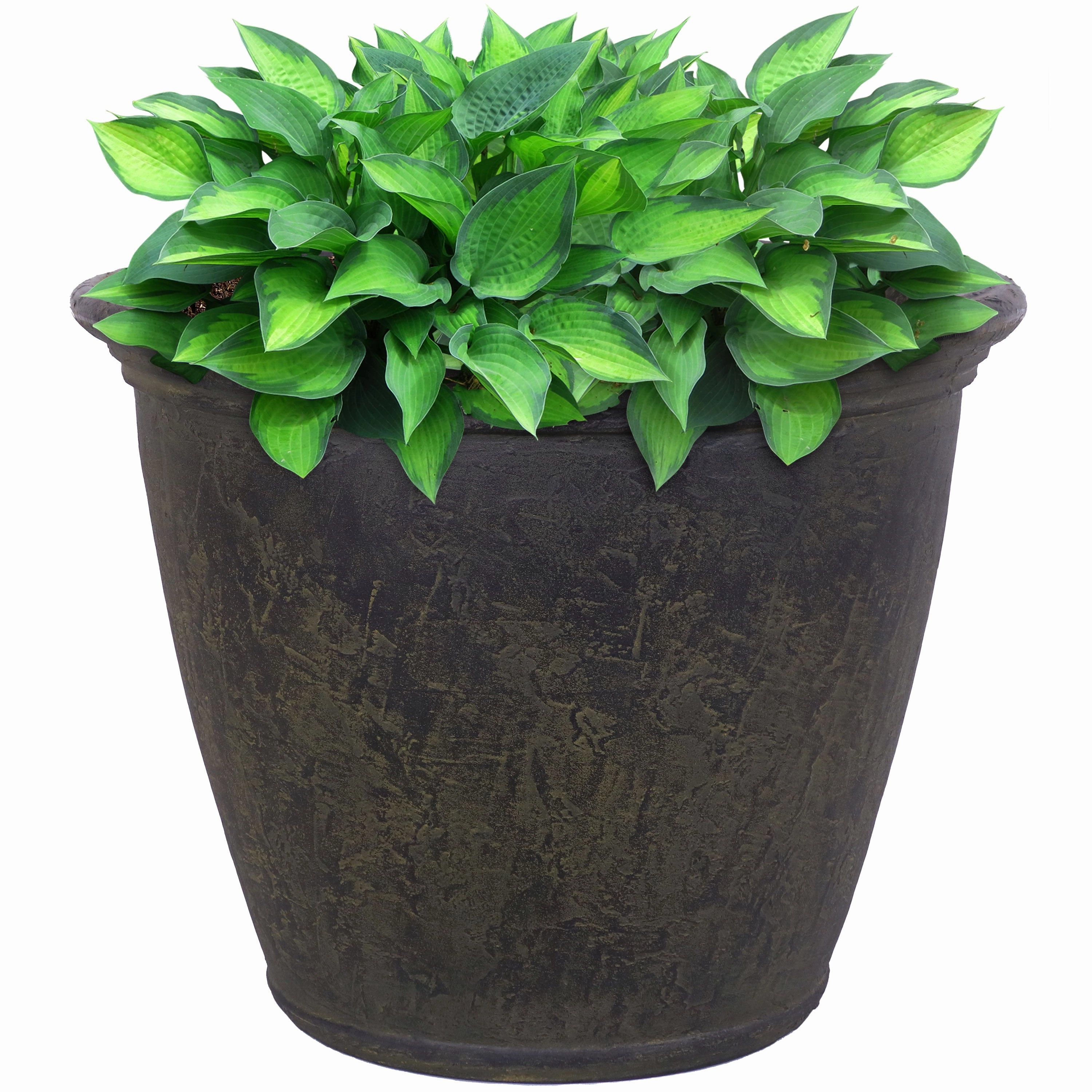 Sunnydaze Anjelica Polyresin Outdoor Flowerpot Planter