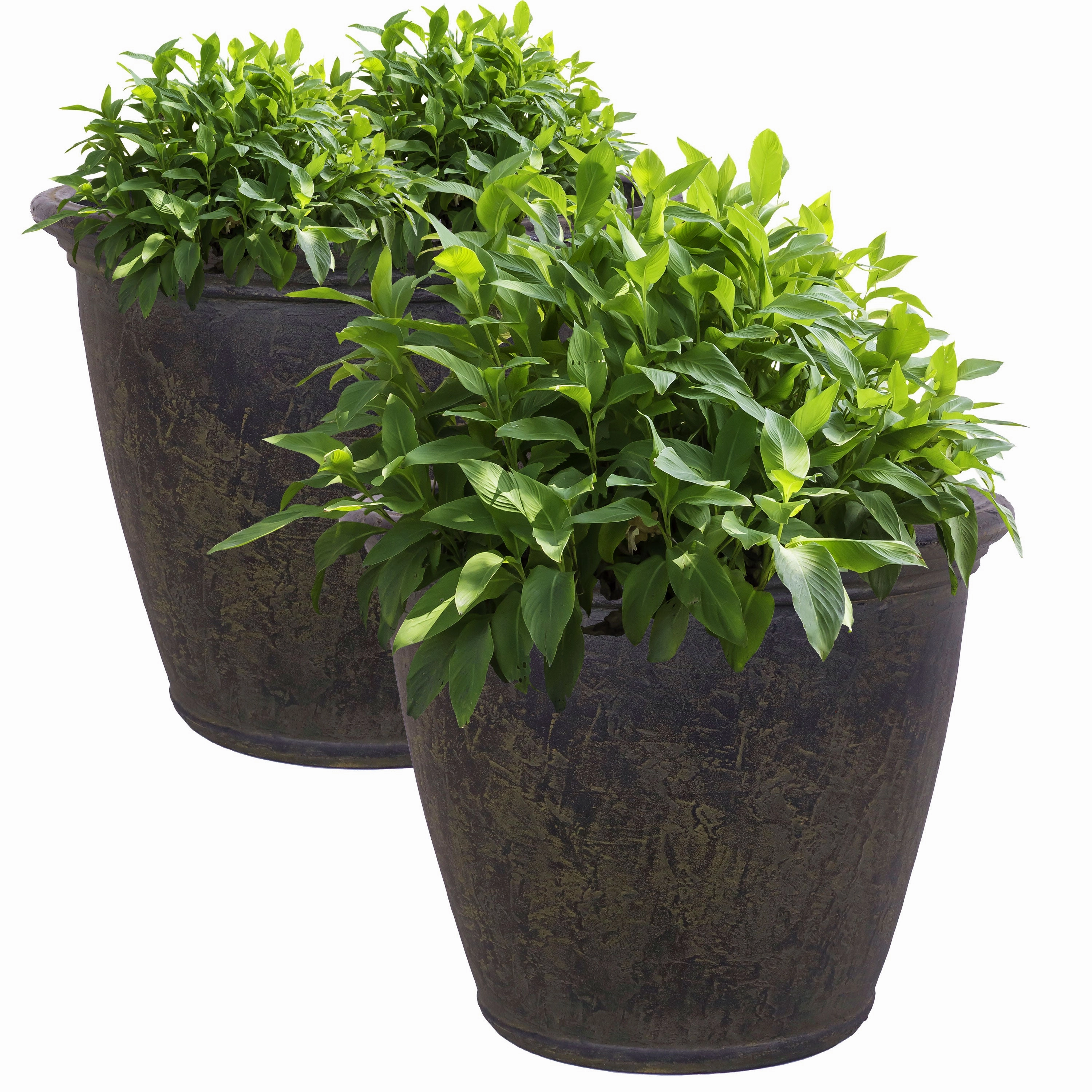 Sunnydaze Anjelica Polyresin Outdoor Flowerpot Planter