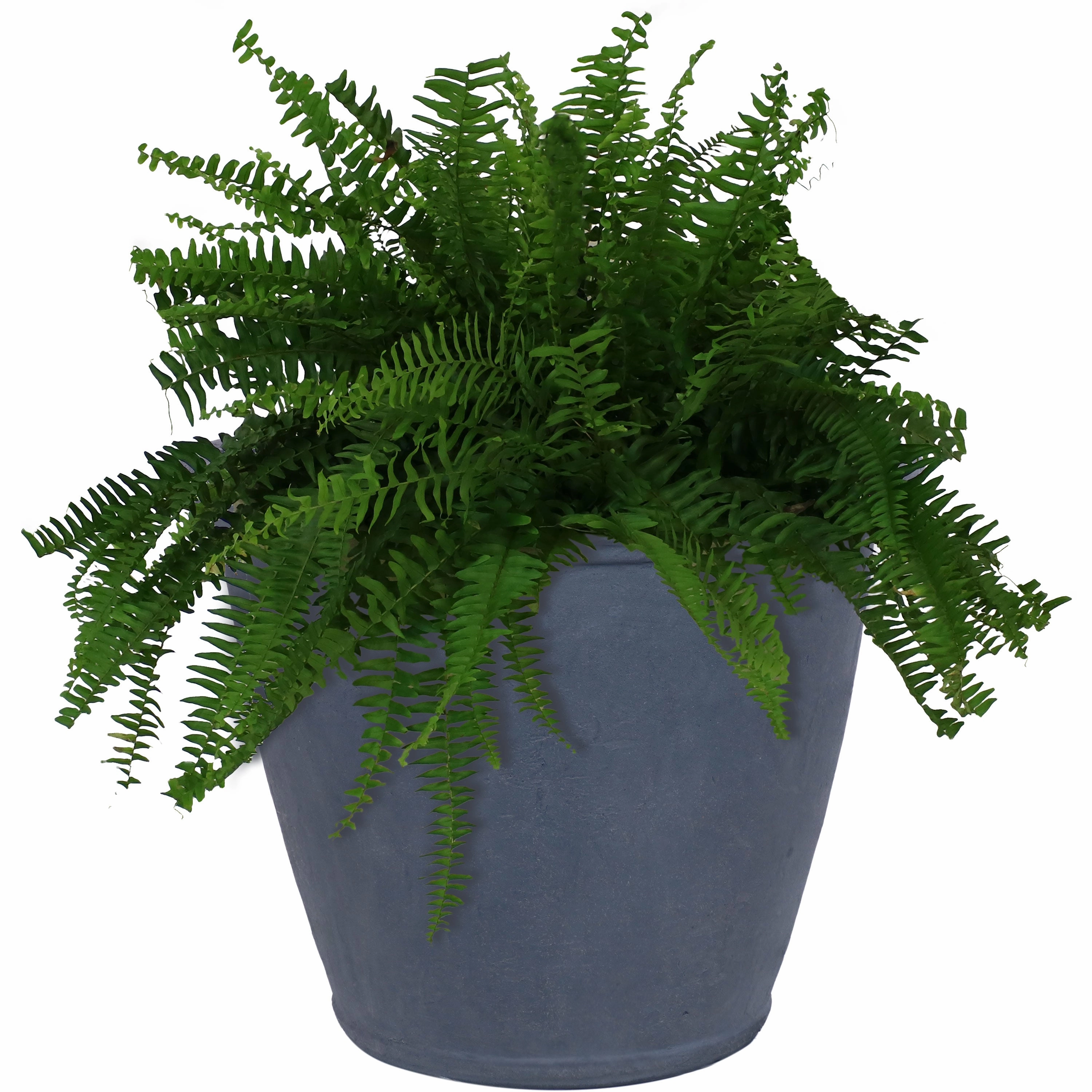 Sunnydaze Anjelica Polyresin Outdoor Flowerpot Planter decorative outdoor planter box designs