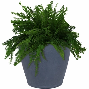 Sunnydaze Anjelica Polyresin Outdoor Flowerpot Planter decorative outdoor planter box designs