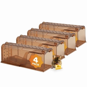 Sunnydaze Catch and Release Humane Mouse Trap - Indoor and Outdoor Use - 4-Pack decorative outdoor planter box designs