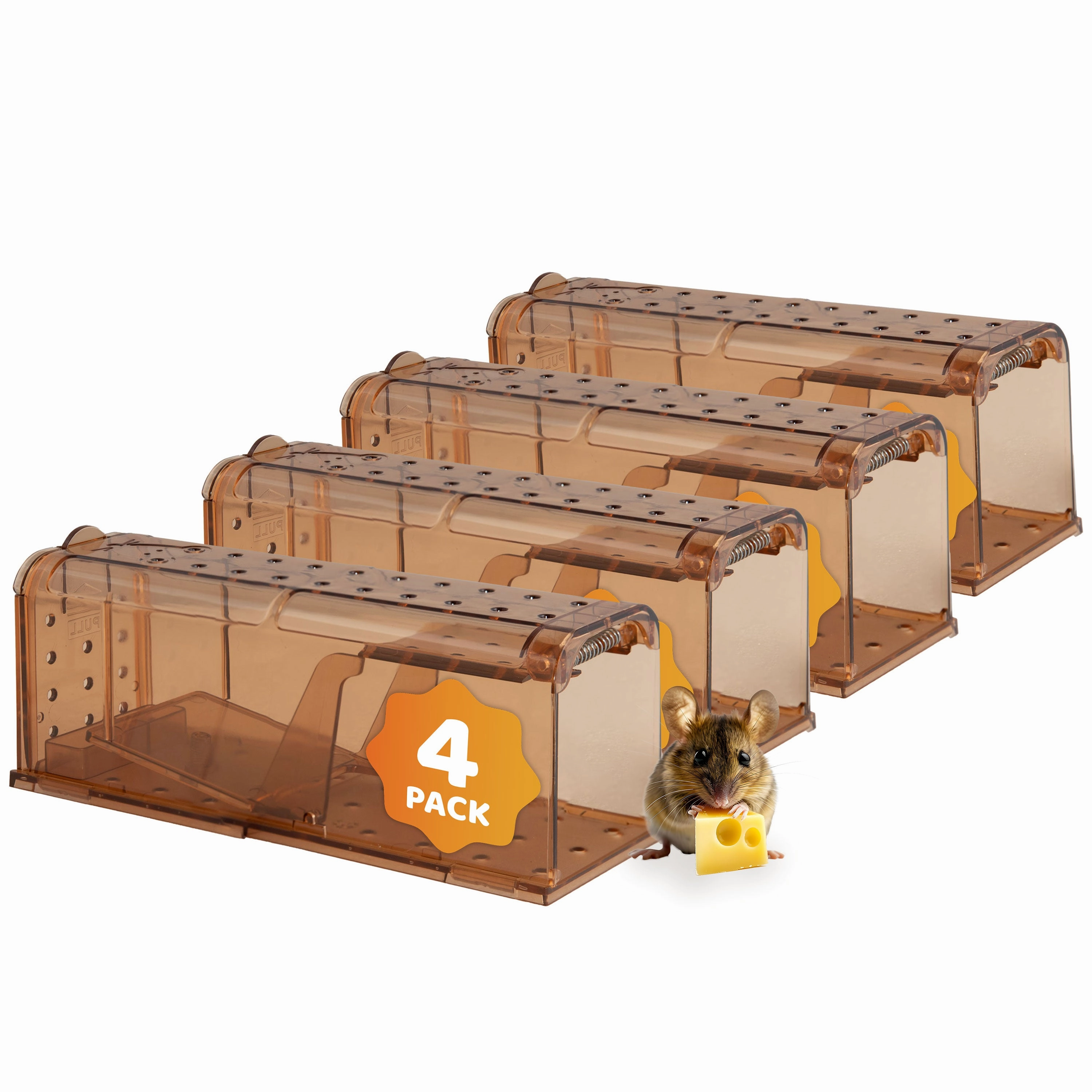 Sunnydaze Catch and Release Humane Mouse Trap - Indoor and Outdoor Use - 4-Pack decorative outdoor planter box designs