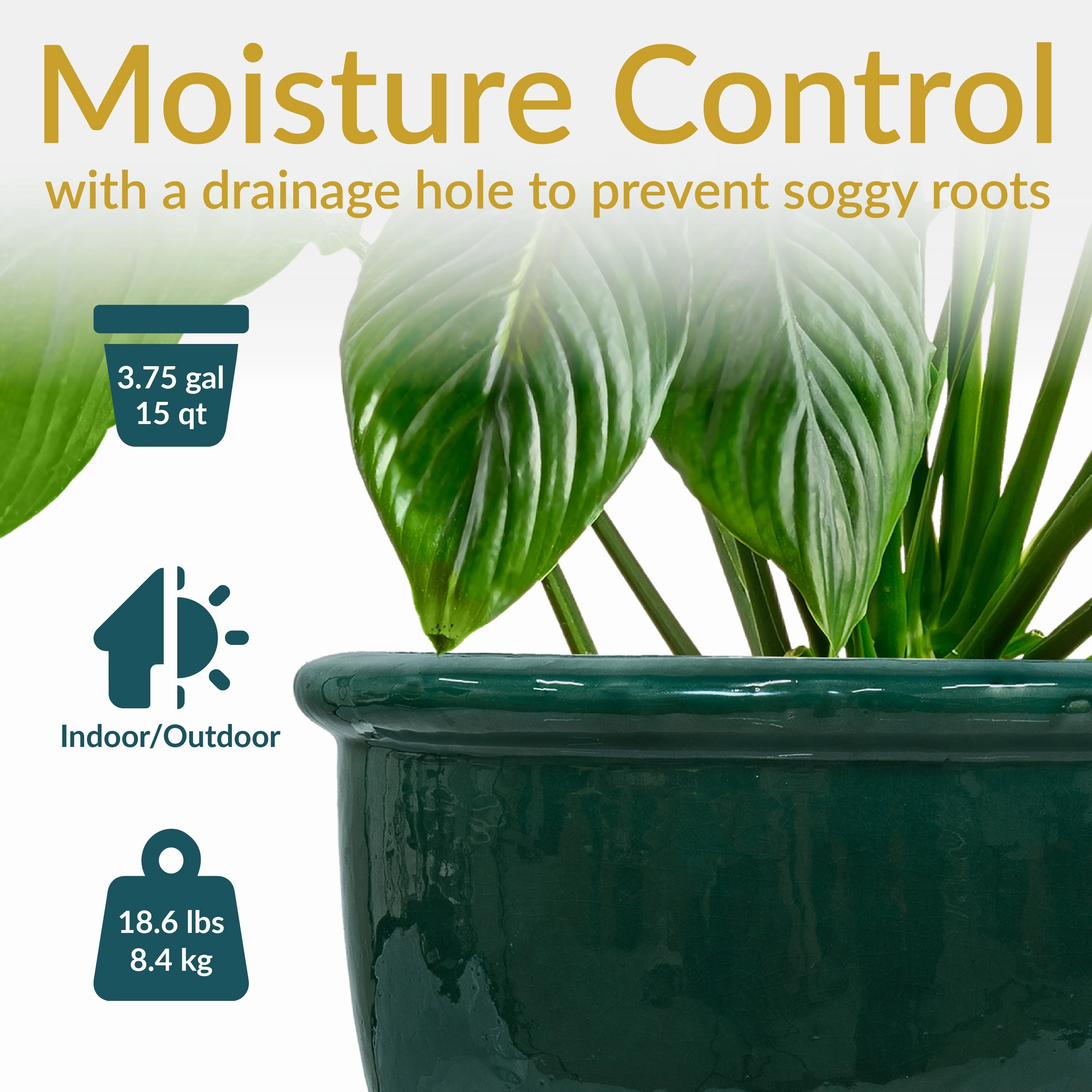 Sunnydaze Chalet Round Glazed Ceramic Planter with Drainage