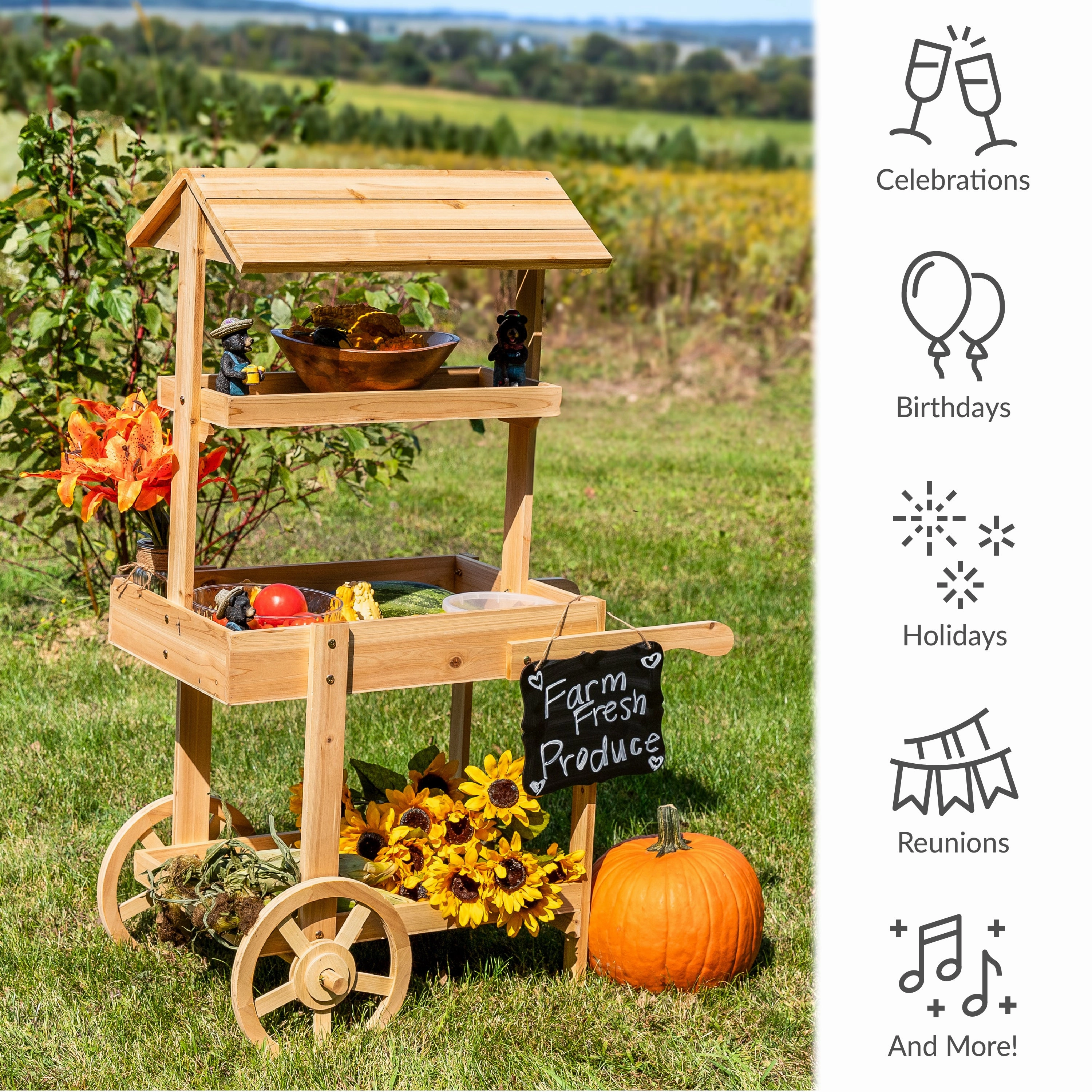 Sunnydaze Country Market Flower Cart Display Stand - 49.25 H