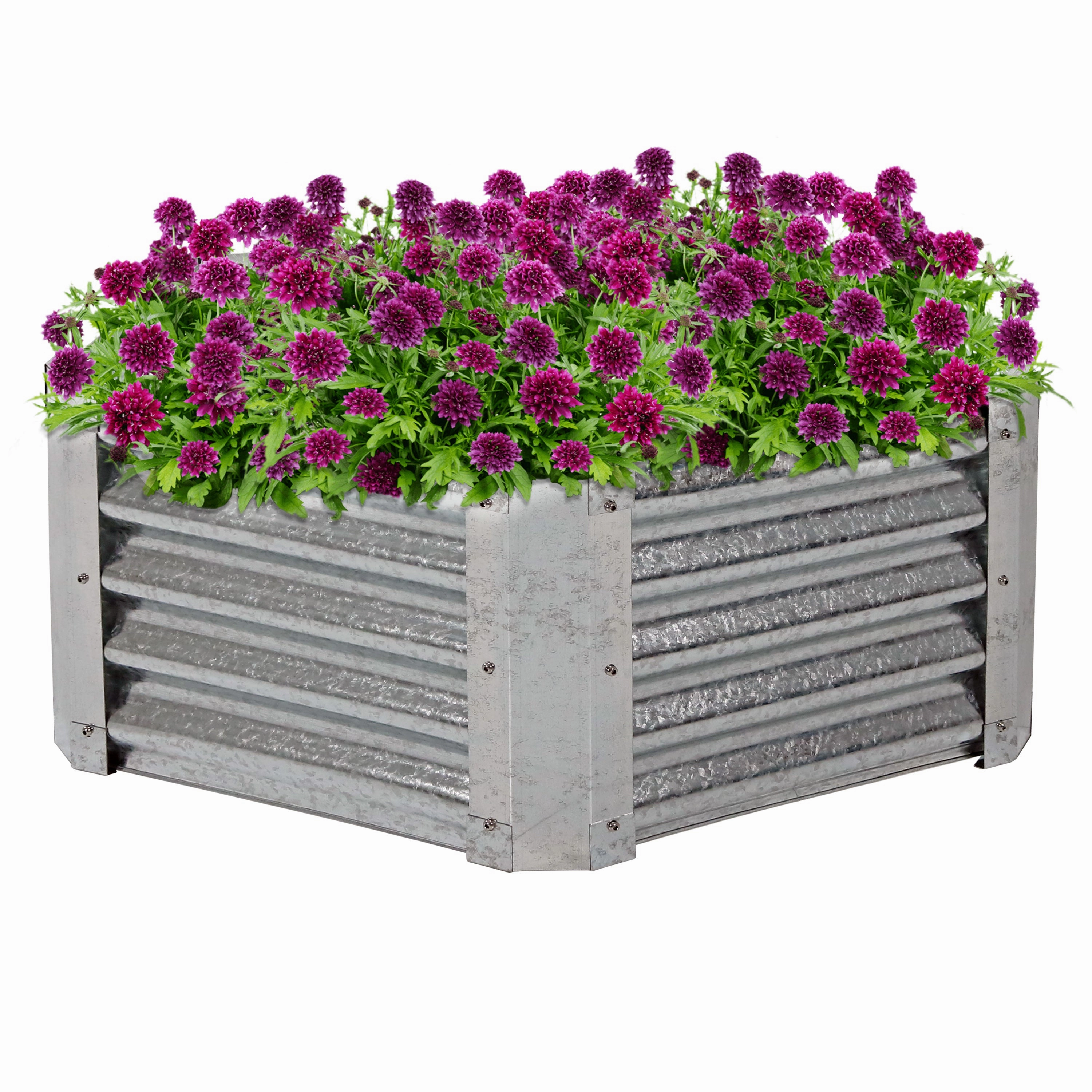 Sunnydaze Galvanized Steel Raised Garden Bed - Hexagon decorative outdoor planter box designs