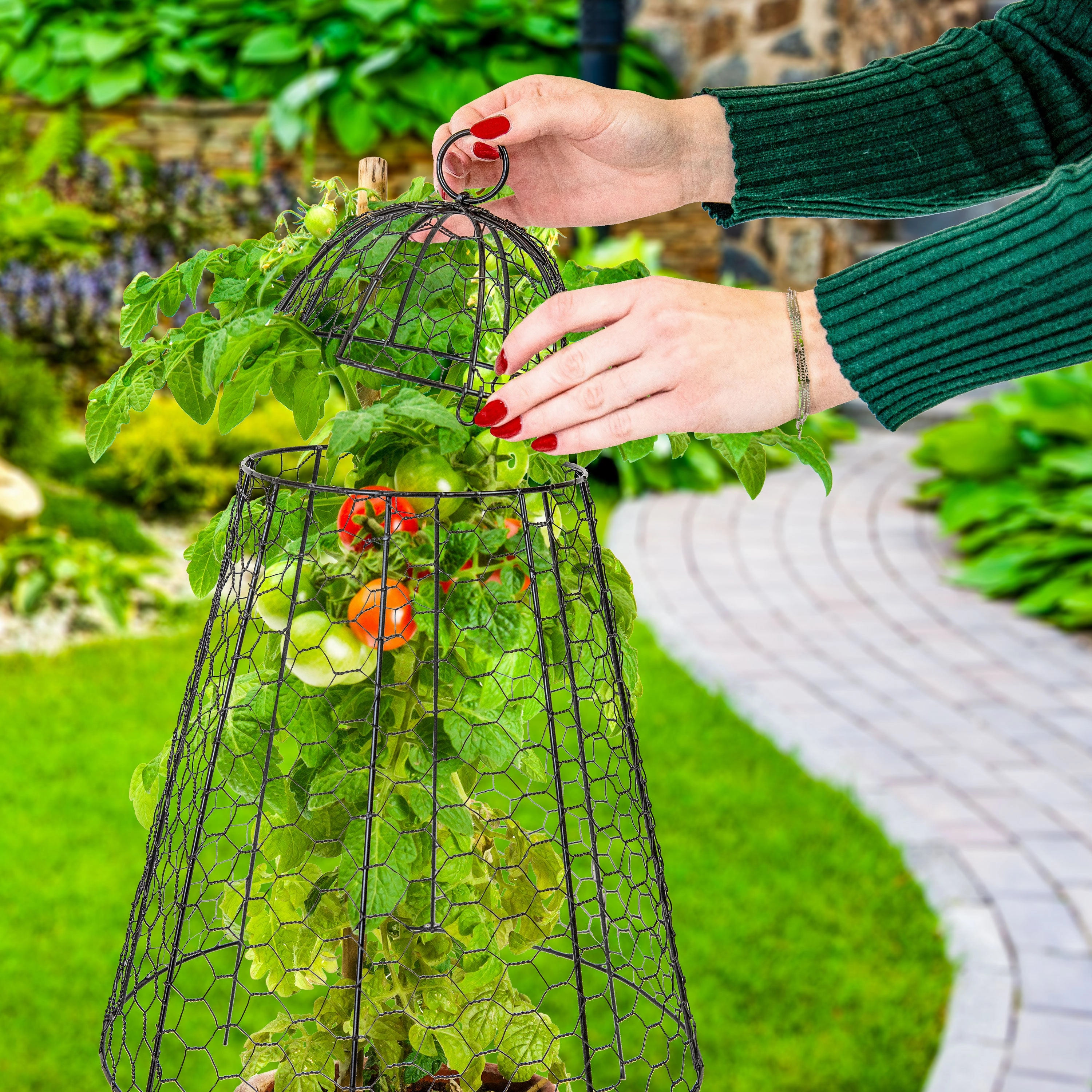 Sunnydaze Mesh Cloche Plant Protector with Removable Cover - 6-Pack