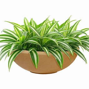 Sunnydaze Percival Polyresin Outdoor Planter Bowl - 20.75" decorative outdoor planter box designs