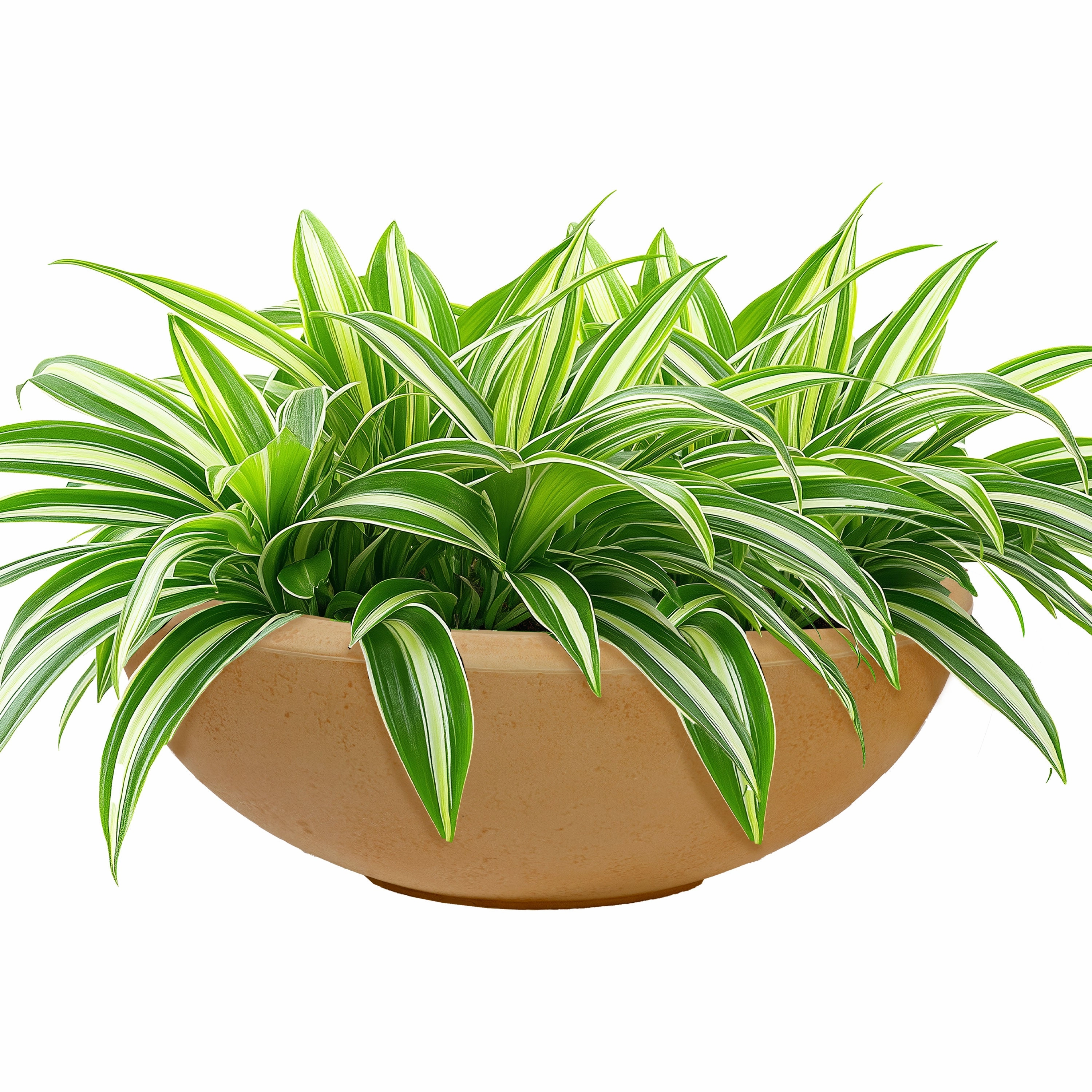 Sunnydaze Percival Polyresin Outdoor Planter Bowl - 20.75" decorative outdoor planter box designs