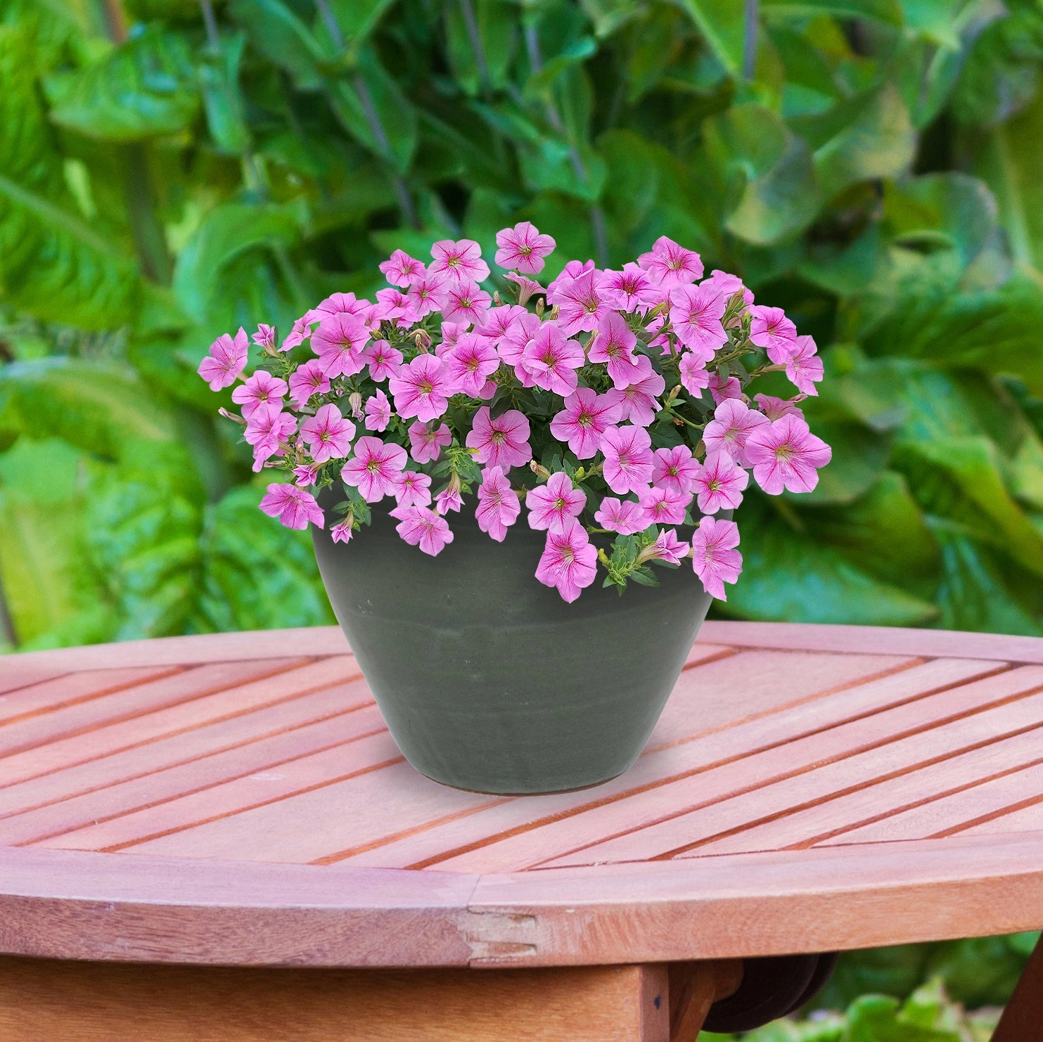 Sunnydaze Resort Round Glazed Ceramic Planter with Drainage
