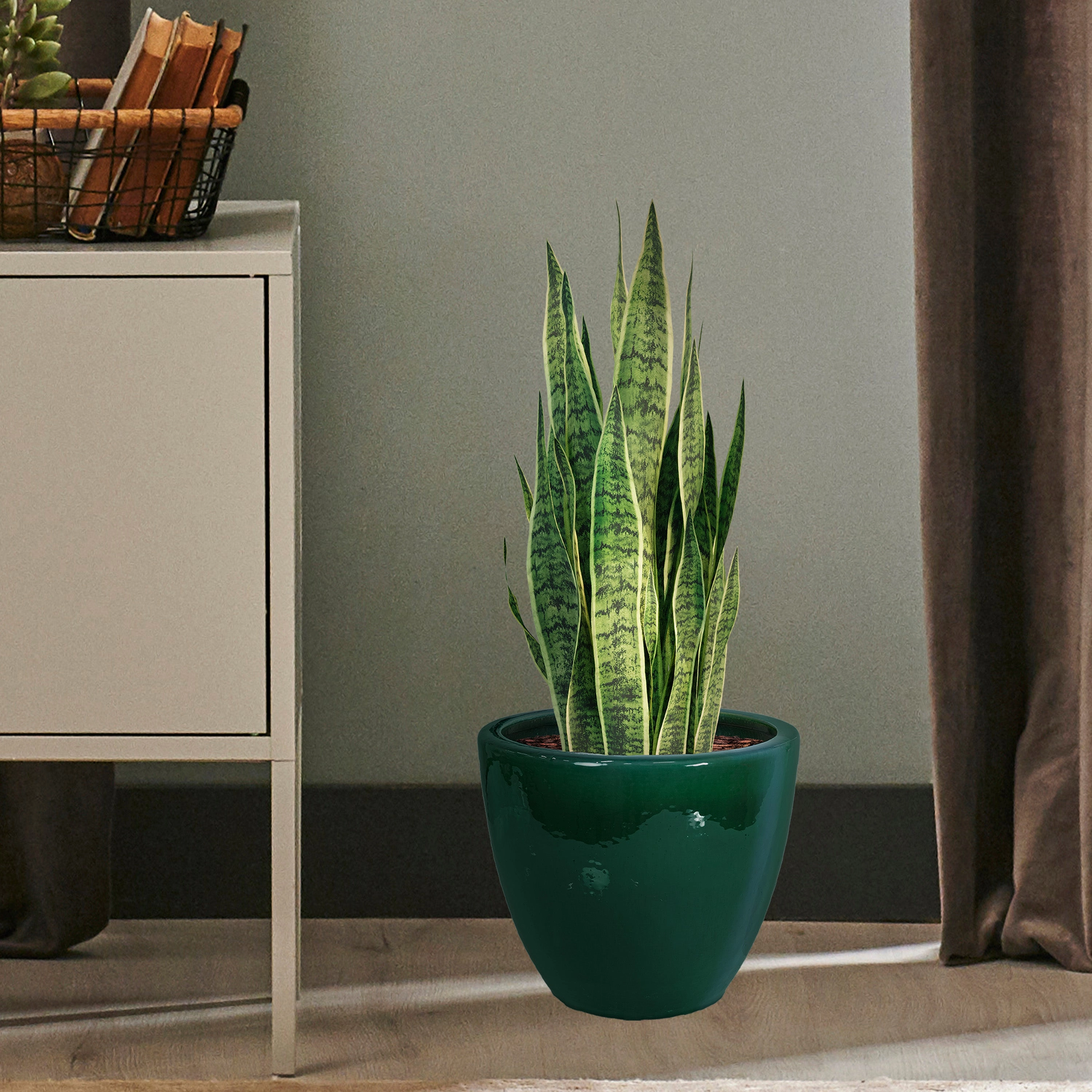 Sunnydaze Resort Round Glazed Ceramic Planter with Drainage
