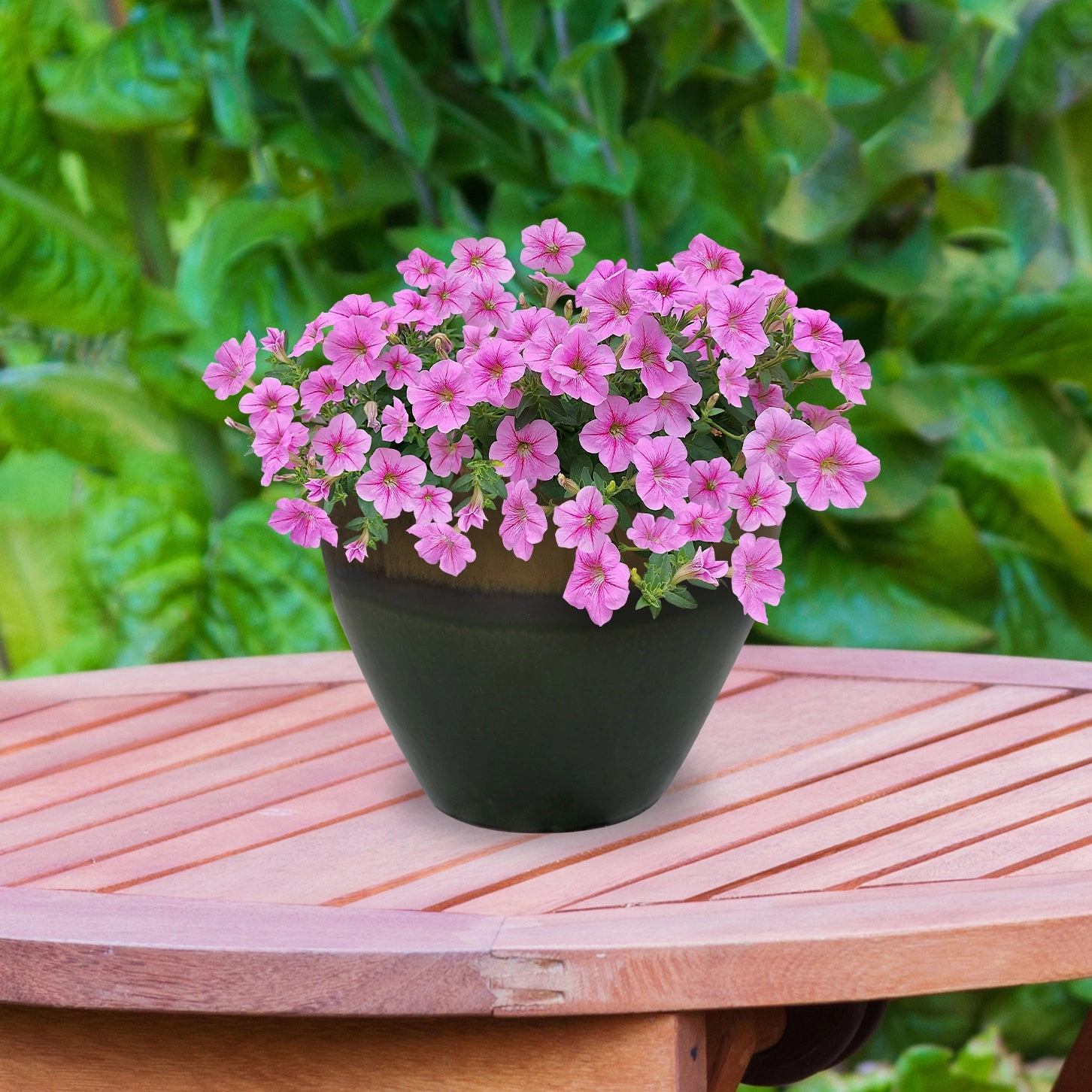Sunnydaze Resort Round Glazed Ceramic Planter with Drainage