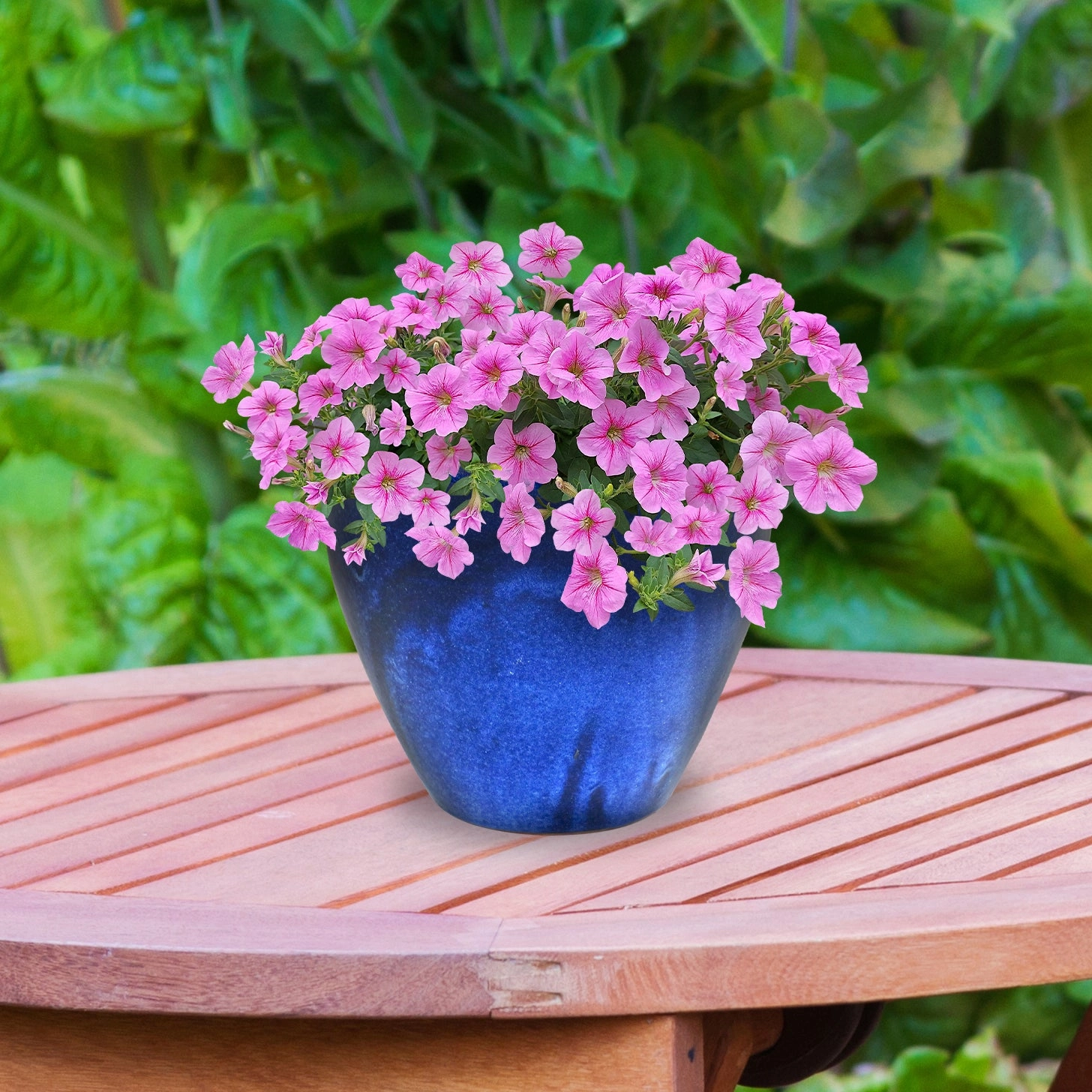Sunnydaze Resort Round Glazed Ceramic Planter with Drainage