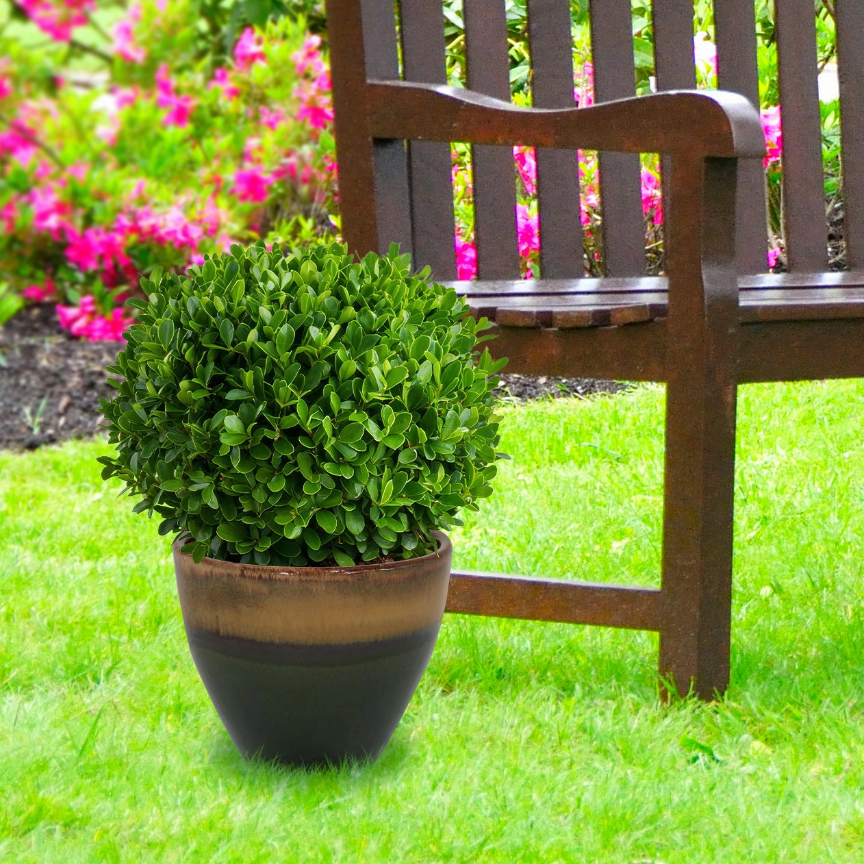 Sunnydaze Resort Round Glazed Ceramic Planter with Drainage