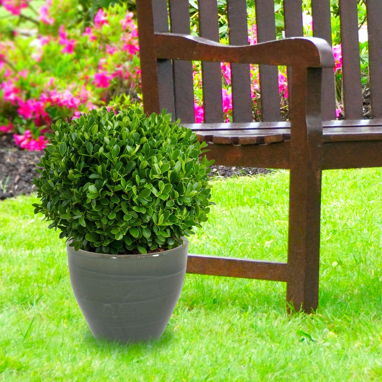 Sunnydaze Resort Round Glazed Ceramic Planter with Drainage