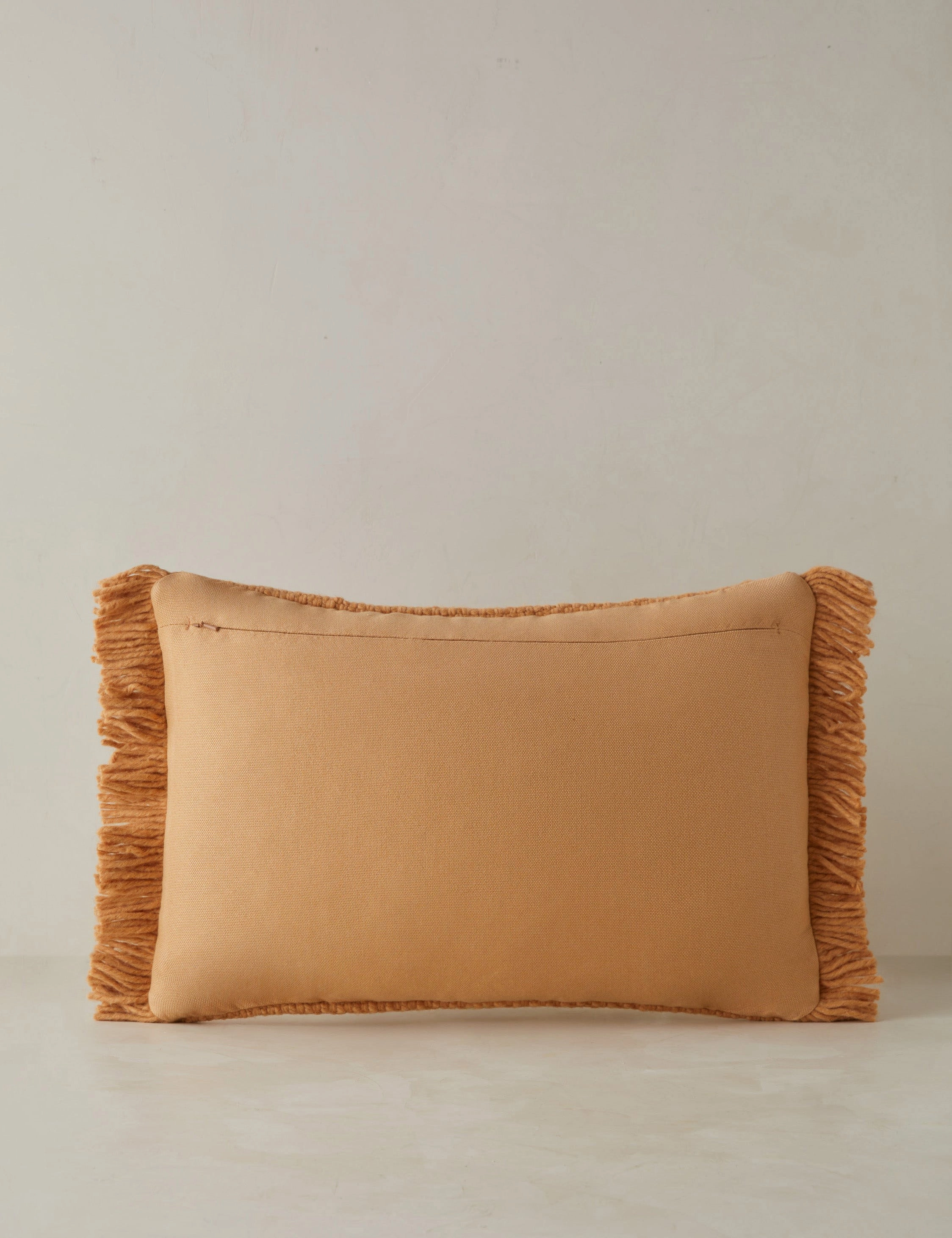 Thorpe Indoor / Outdoor Pillow