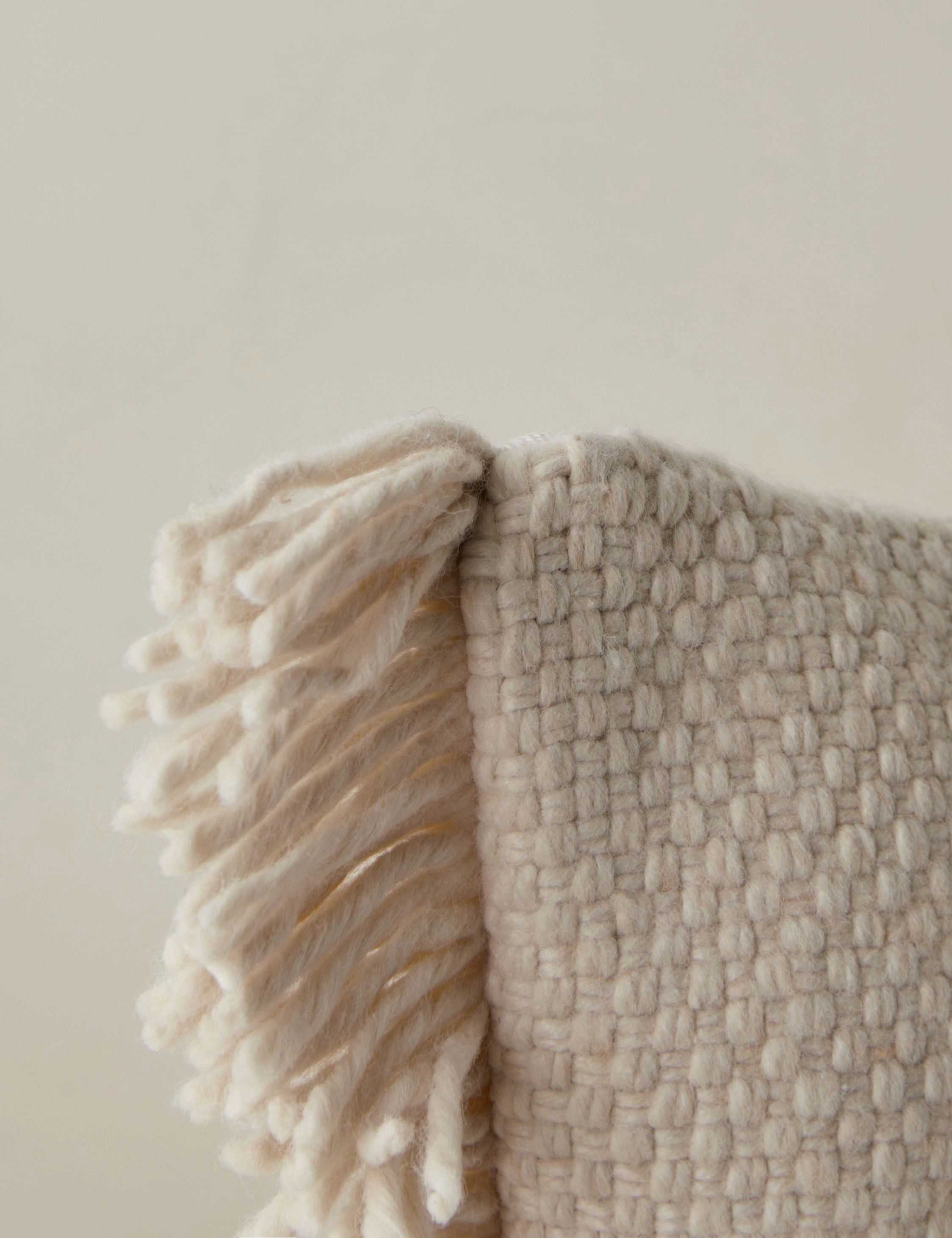 Thorpe Indoor / Outdoor Pillow